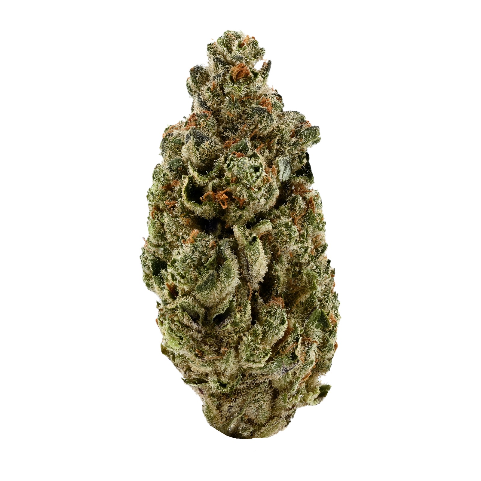 Demecan Craft Aloha 34/1 - 98ALOHA WHITE WIDOW X TRAINWRECK